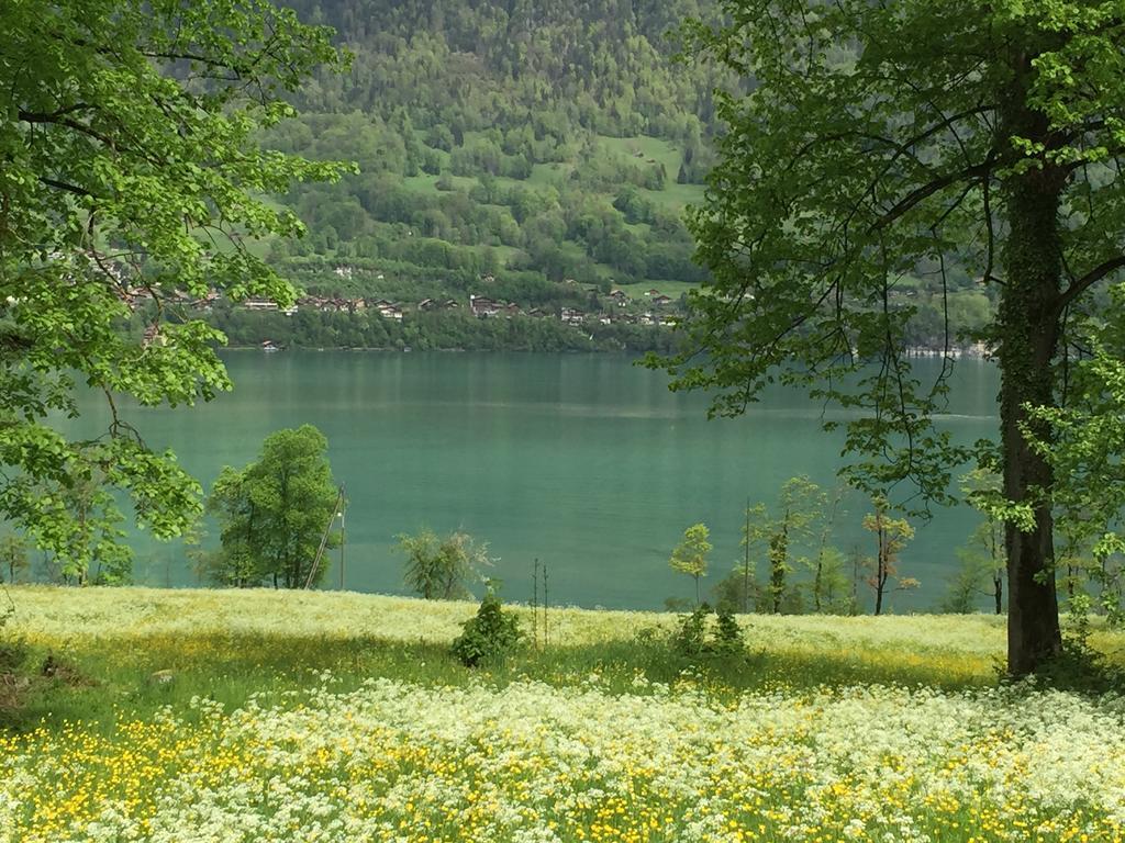 Sam&Cindy Mühlemann Daire Interlaken Dış mekan fotoğraf