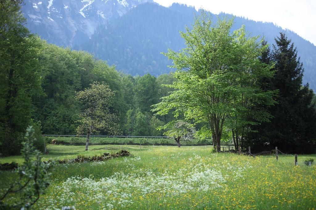 Sam&Cindy Mühlemann Daire Interlaken Dış mekan fotoğraf